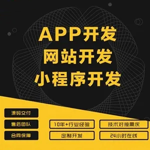 小程序開發與手機APP：打造高效移動應用新策略，企業移動化轉型的雙翼